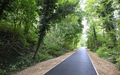 Balade Familiale à vélos autour de la Seille dimanche 19 octobre 2025